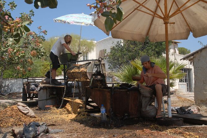 Insightful Pistachio Orchard and Factory Tour - Tasting pistachios, baklava, and Greek coffee
