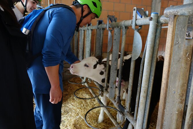Interlaken 3-Hour Guided E-Bike Tour with a Farm and Ancient Villages Visit - Value, timing, and small practical concerns