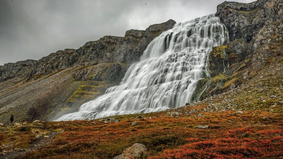 Isafjordur: Dynjandi Waterfall Tour and Icelandic Farm Visit - Key points to know before you go