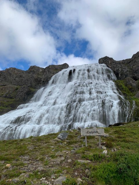 Isafjordur: Dynjandi Waterfall Tour and Icelandic Farm Visit - Guides make a real difference