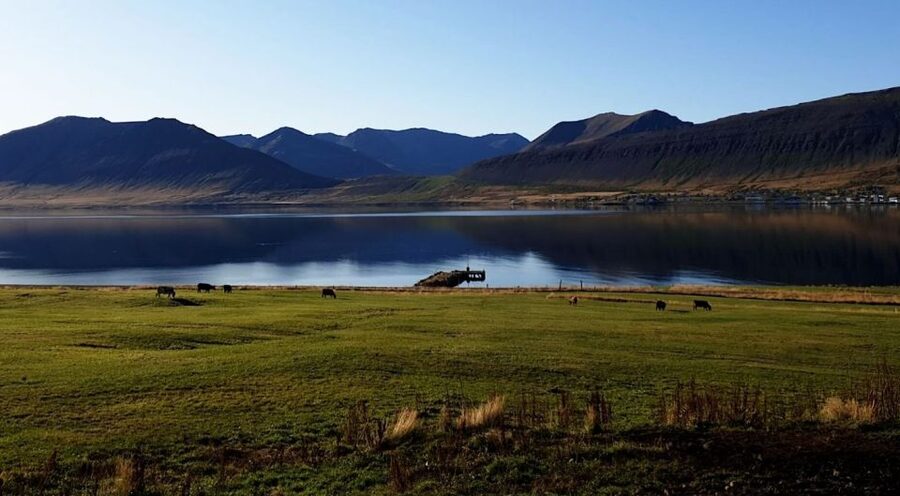 Isafjordur: Dynjandi Waterfall Tour and Icelandic Farm Visit - Price and value for a port-day excursion
