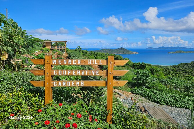 Island Eco Farm Tour with Local Treats and Sapphire Beach Time - High above Great Bay at Estate Road