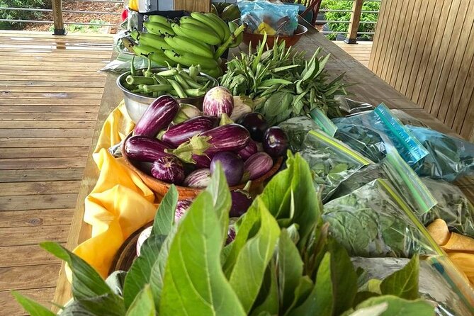 Island Eco Farm Tour with Local Treats and Sapphire Beach Time - What to bring and how to set expectations