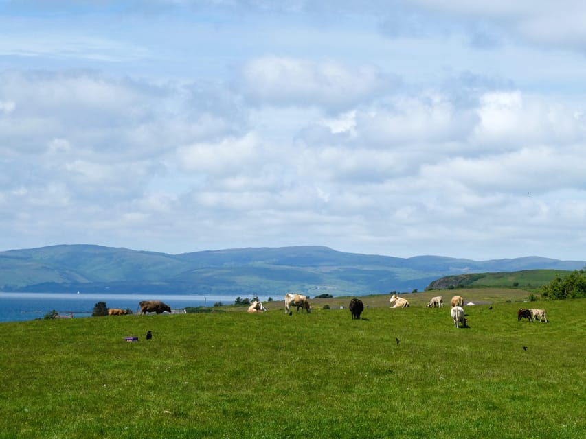 Isle of Arran: Exclusive Private Farm Tour with the Farmer - Key points to know before you book