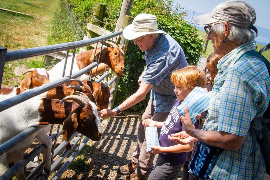 Isle of Arran: Exclusive Private Farm Tour with the Farmer - Learning about greener farm practices