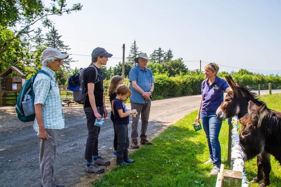 Isle of Arran: Exclusive Private Farm Tour with the Farmer - What the $380 private price really means