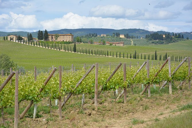 It's Wine Time! 2 wineries & farm-to-table lunch—max 8 pp - What the $272.11 price includes