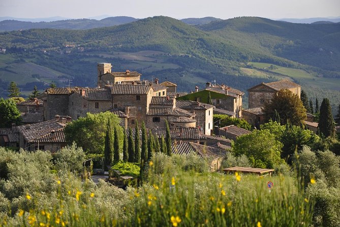 It's Wine Time! 2 wineries & farm-to-table lunch—max 8 pp - Who should choose this wine tour?