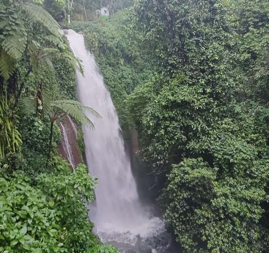 Jakarta Bogor Botanical Garden, Waterfall and Rice Terrace - Five useful things to know before booking