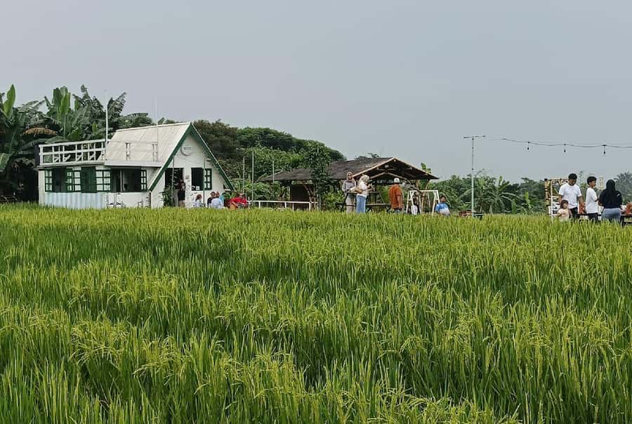 Jakarta Bogor Botanical Garden, Waterfall and Rice Terrace - Should you book the Jakarta to Bogor day trip?