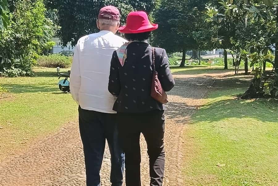 Jakarta Bogor Botanical Garden, Waterfall and Rice Terrace - Is the $92 price fair?