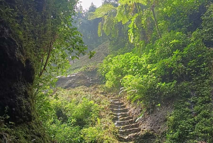 Jakarta Bogor Botanical Garden, Waterfall and Rice Terrace - Who will enjoy this day most?