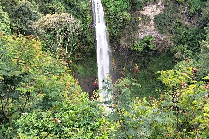 Jakarta Bogor Botanical Garden, Waterfall and Rice terrace, Lunch - Leaving Jakarta for Bogor’s cooler air