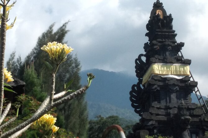 Jakarta Bogor Botanical Garden, Waterfall and Rice terrace, Lunch - A Sundanese lunch with Mount Salak views
