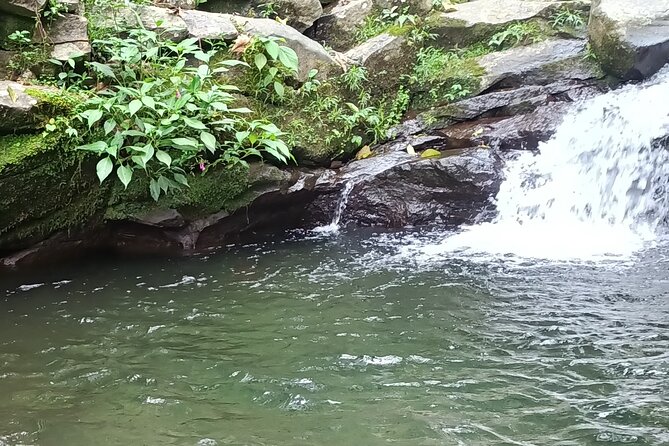 Jakarta Bogor Botanical Garden, Waterfall and Rice terrace, Lunch - Hiking to Nangka Waterfall