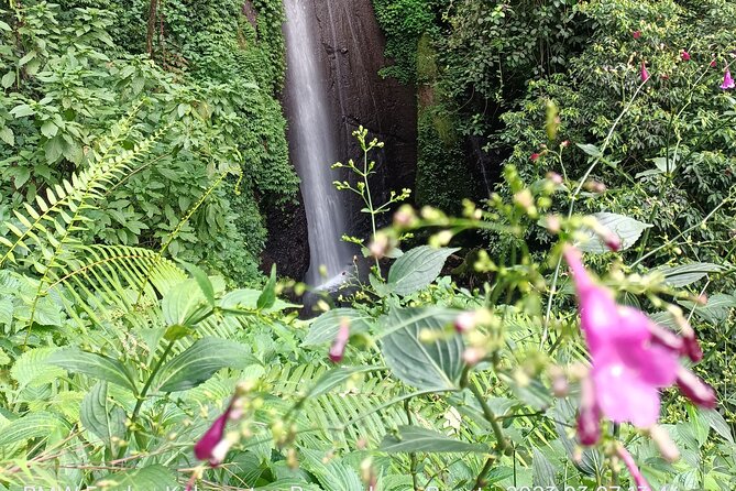 Jakarta Bogor Botanical Garden, Waterfall and Rice terrace, Lunch - What the $95 price really buys