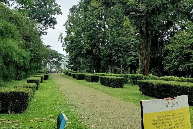 Jakarta Bogor Botanical Garden, Waterfall and Rice terrace, Lunch - Exploring Kebun Raya Bogor after 1817