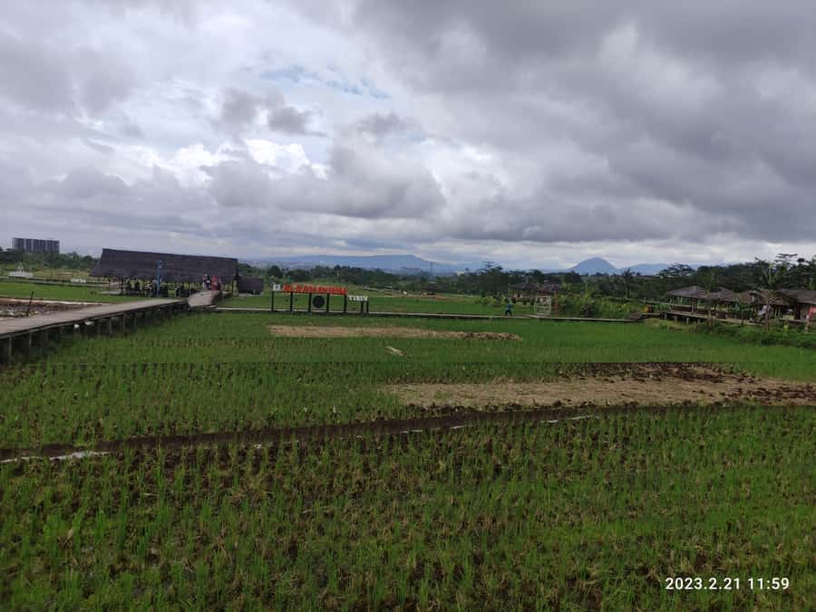 Jakarta : Botanical Garden, Waterfalls, and Rice Fields Tour - Meeting farmers in Mulyaharja