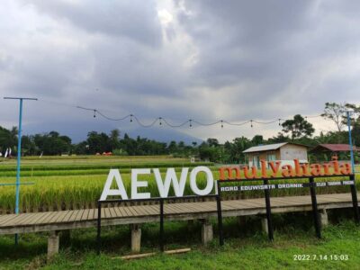 Botanical Garden, Waterfalls, and Rice Fields Tour