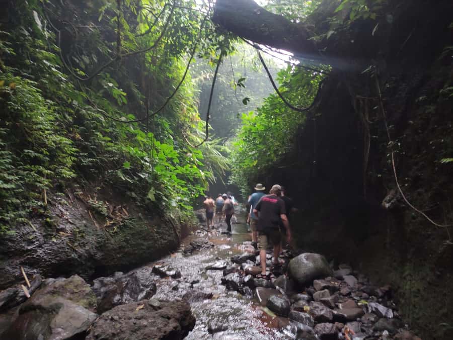 Jakarta : Botanical Garden, Waterfalls, and Rice Fields Tour - What the private format adds