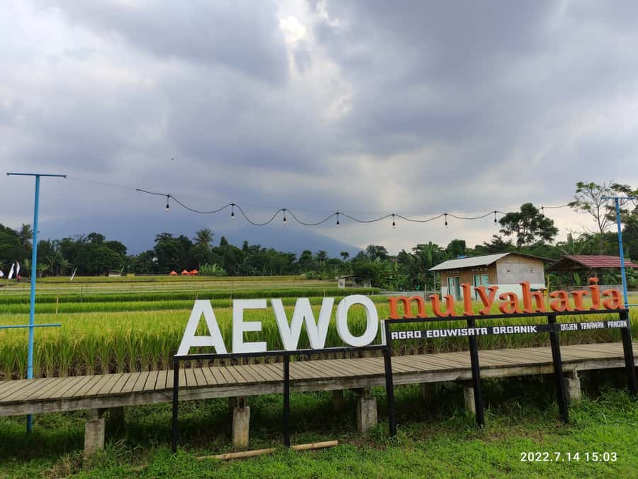 Jakarta : Botanical Garden, Waterfalls, and Rice Fields Tour - Two hours among Bogor’s plant collections