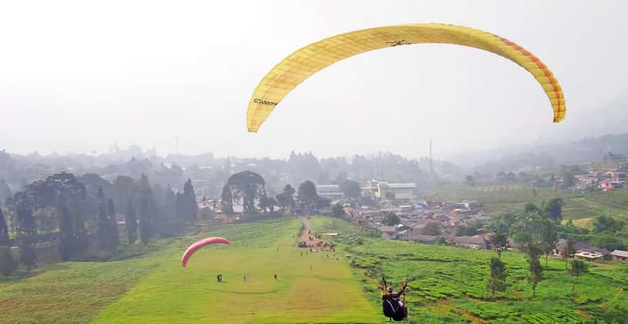 Jakarta: Paragliding on Top Mountain & Tea Plantation - From Jakarta to Puncak, a full day in the hills