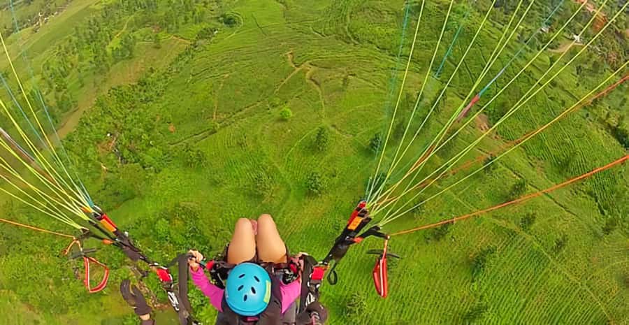 Jakarta: Paragliding on Top Mountain & Tea Plantation - What the $184 price really covers