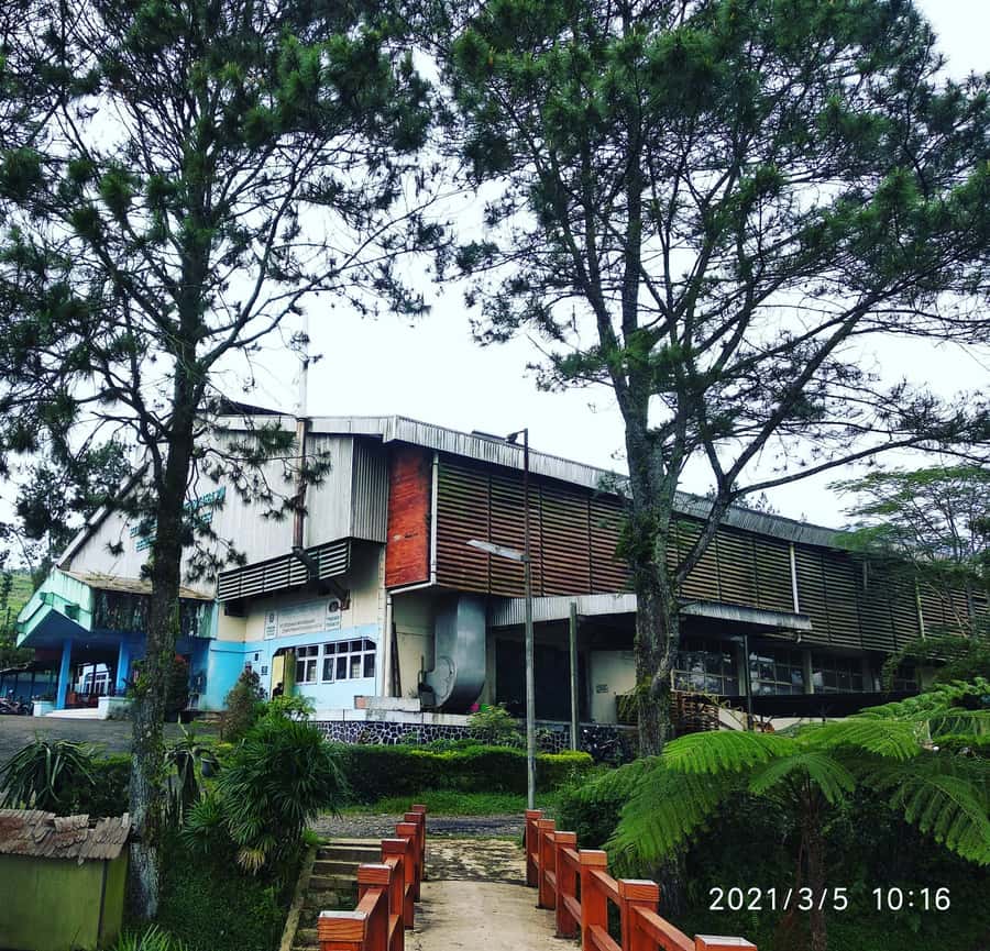 Jakarta: Volcano, Hot Spring, Tea, Rice Fields, &Coffee tour - Why This Jakarta Day Trip Works