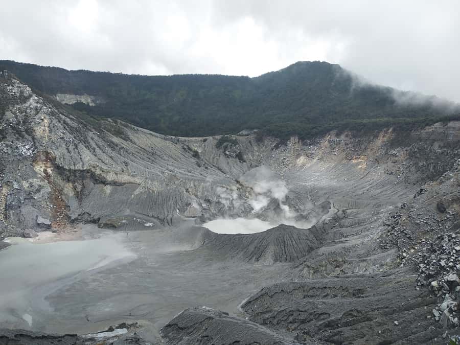 Jakarta: Volcano, Hot Spring, Tea, Rice Fields, &Coffee tour - Ciater Tea Country and a Cup of West Java