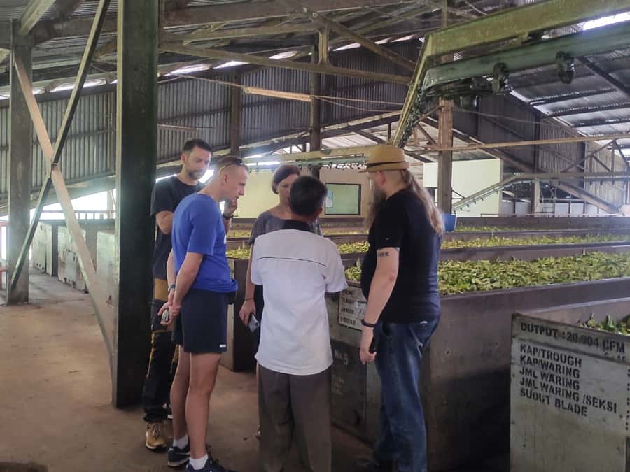 Jakarta: Volcano, Hot Spring, Tea, Rice Fields, &Coffee tour - Walking Beside Tangkuban Perahu Crater