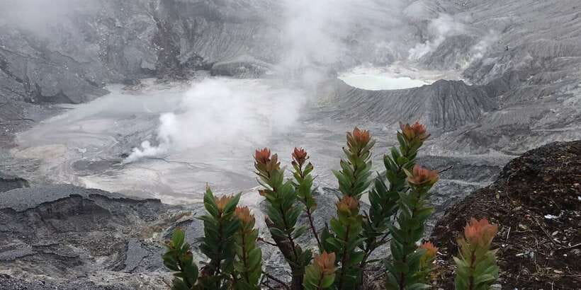 Jakarta: Volcano, Tea/Rice Fields, Hot Spring, Local Food - Subang and the first look at rural Java