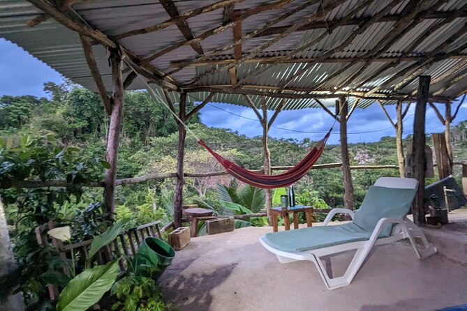 Jamaican Roots Tropical Farm Tour - Taste & Explore (Negril) 2hr - Smoothie, fruit plate, and the best part of the visit