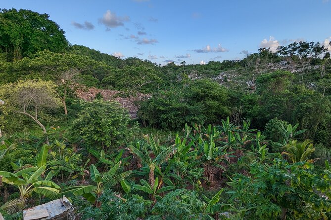 Jamaican Roots Tropical Farm Tour - Taste & Explore (Negril) 2hr - Optional Jamaican food after the tour