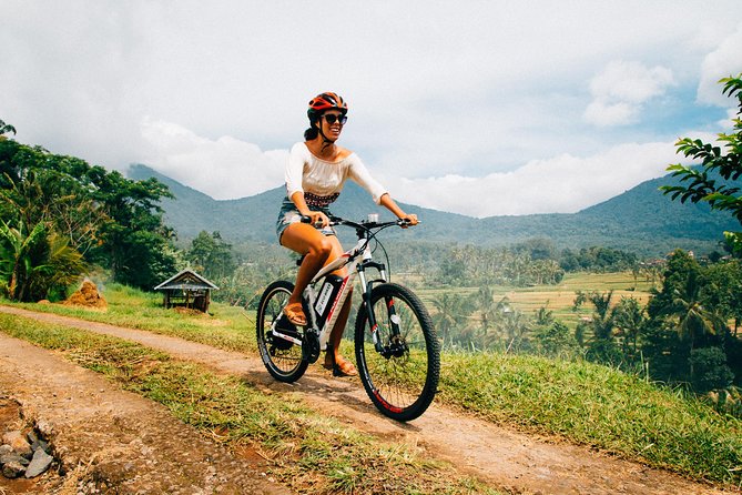 Jatiluwih in detail (1 h. e-bike tour in the rice terraces) - Key points to know before you book