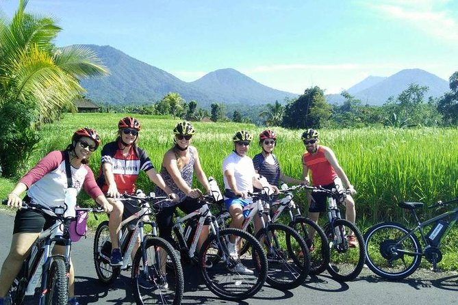 Jatiluwih in detail (1 h. e-bike tour in the rice terraces) - Why Jatiluwih works so well by e-bike
