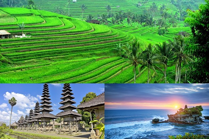 Jatiluwih Rice Terrace & Tanah Lot Tours - Why this Bali day trip works