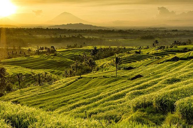 Jatiluwih Rice Terrace & Tanah Lot Tours - The guide and driver can shape the day