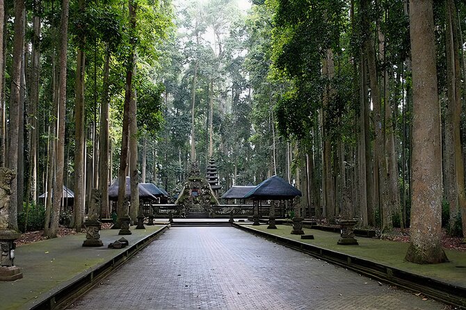 Jatiluwih Spiritual Journey of Melukat with Rice Terrace View - Baturiti coffee brings a tasting stop