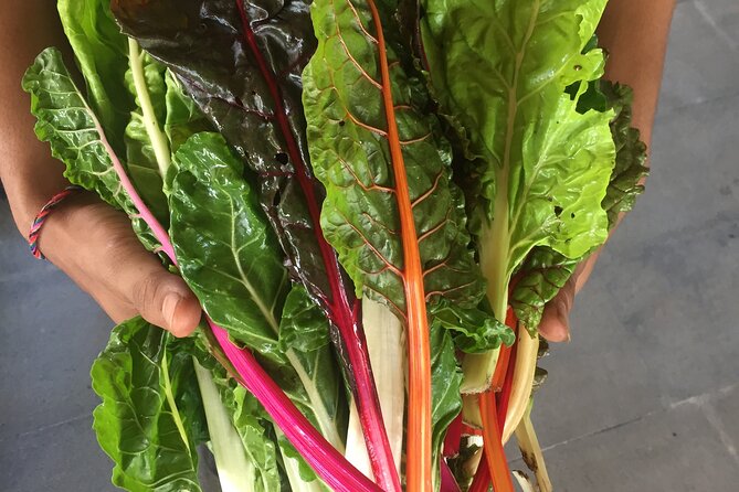 Jean Talon Farmer's Market Tour x Michelin-Trained Chef - Key points at a glance
