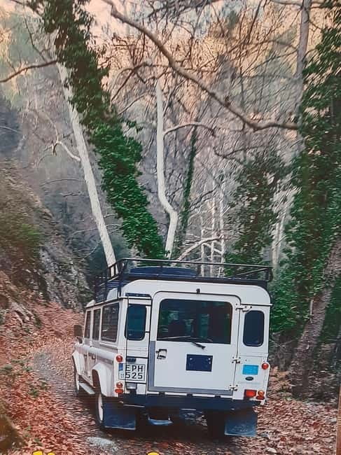 Jeep safari in French, English to Akamas, Gorge, Donkey Farm - The best parts of the day at a glance