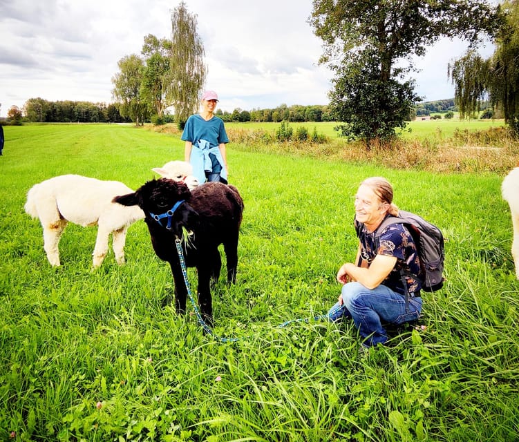 Jettingen-Scheppach: Alpaca hike through the Mindeltal - Key points to know before booking
