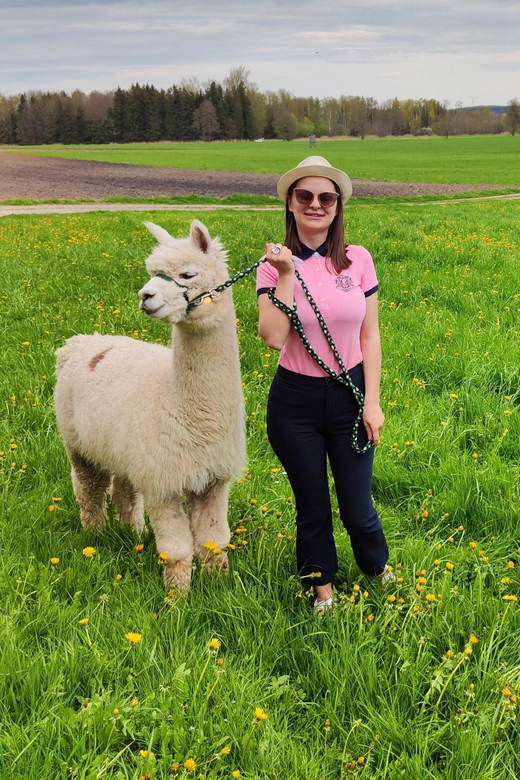 Jettingen-Scheppach: Alpaca hike through the Mindeltal - What the two-hour schedule really means