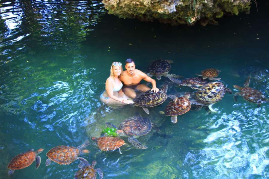 Joazani forest & Spice farm with lunch - Red colobus monkeys and what makes the sighting special
