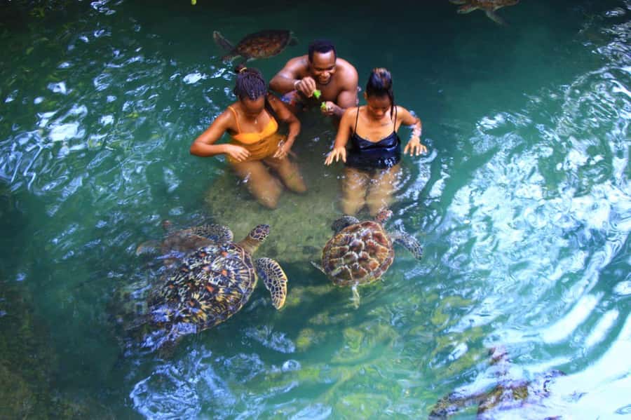 Joazani forest & Spice farm with lunch - Who will enjoy this experience most