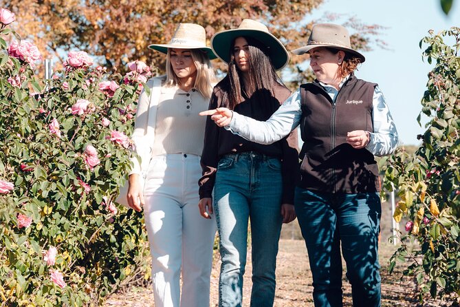 Jurlique Farm Private Immersion Tour - Following seedlings from propagation to useful plants