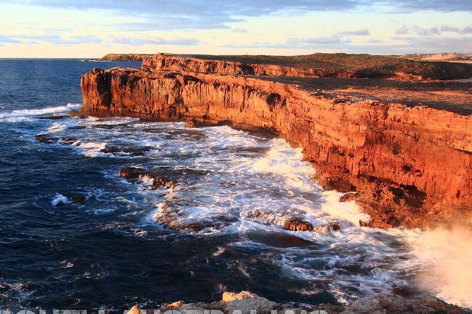 Jurlique Farm Private Immersion Tour - Who should book this Jurlique Farm visit?