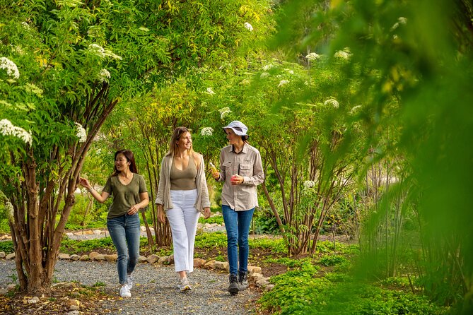 Jurlique Farm Tour - Practical details that affect your day