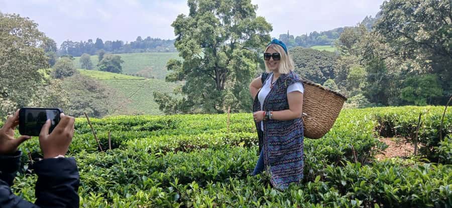 Kaimbethu tea farm tour and lunch package - The indigenous forest walk