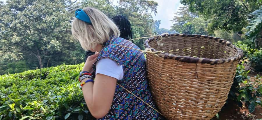 Kaimbethu tea farm tour and lunch package - The ride, guides, and group size