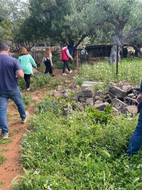 Kalamata: Farm-to-Table Experience with Cooking - How the $141 price measures up